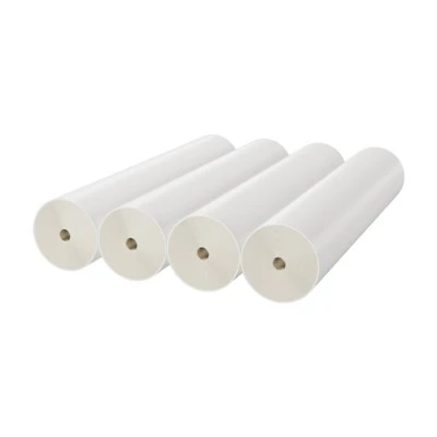 Sanitary Spiral RO Membrane Element suppliers